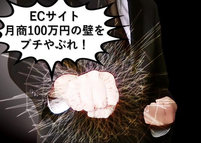 ECサイト月商100万円達成プラン内容&「達成率160%超!」の実績のご紹介